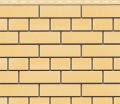 Фасадная панель Доломит, Прокрашенный кирпич, Желтый цвет. купить в Цандрыпш