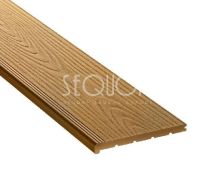 Ступень ДПК 3D Evolution Дерево Природы