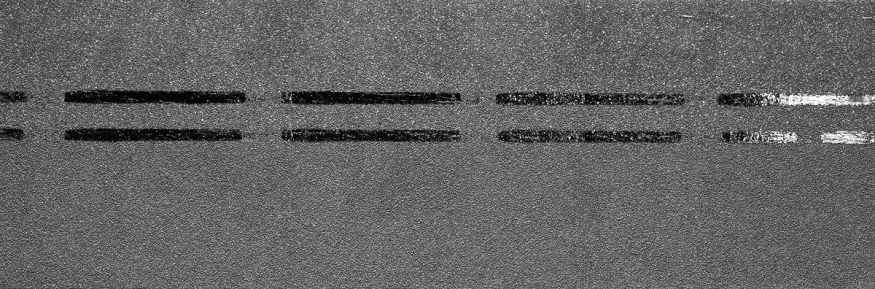 Коньково-карнизная черепица Docke, Premium, Черника купить в Цандрыпш